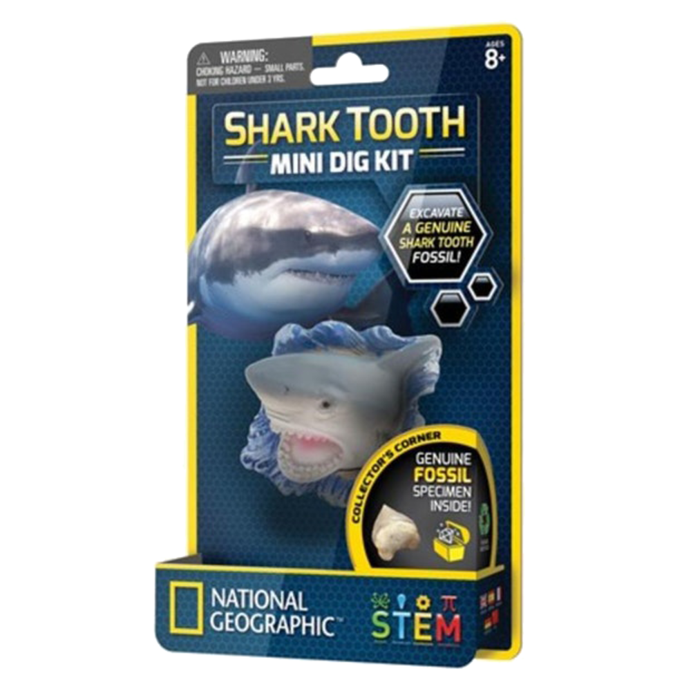 discovery kit shark fossil