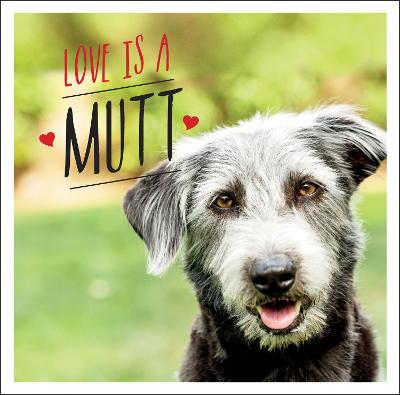 2 2024 mutts love